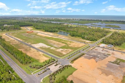 Land in Flagler Beach, Florida № 2385997 - photo 20