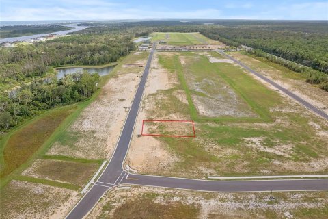 Land in Flagler Beach, Florida № 2385997 - photo 2