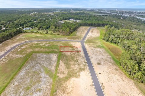 Land in Flagler Beach, Florida № 2385997 - photo 7