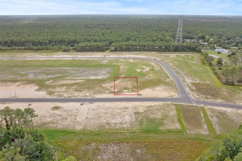 Land in Flagler Beach, Florida № 2385997 - photo 4