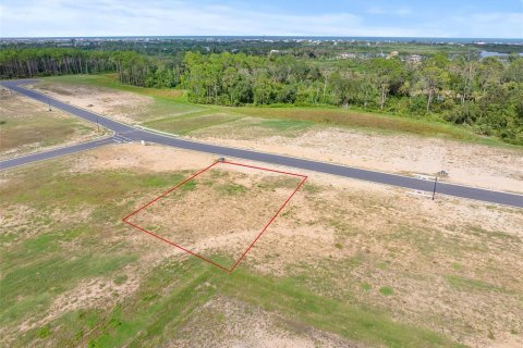 Land in Flagler Beach, Florida № 2385997