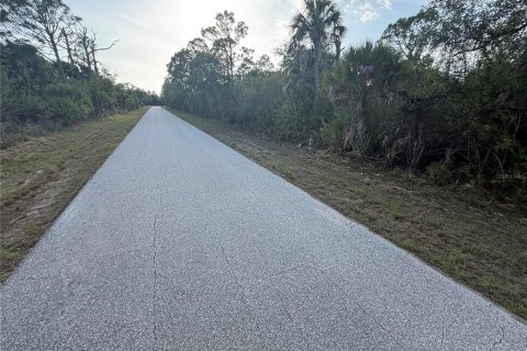 Land in Port Charlotte, Florida № 2162465 - photo 2