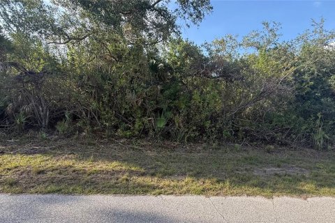 Land in Port Charlotte, Florida № 2162465 - photo 5