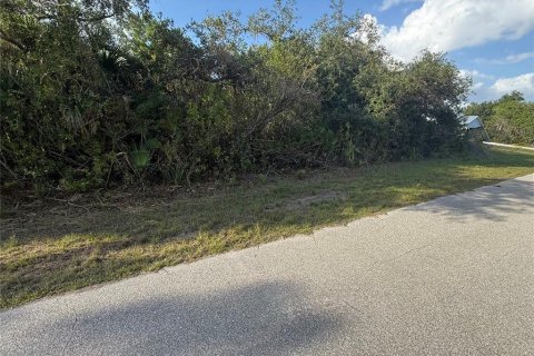 Land in Port Charlotte, Florida № 2162465 - photo 3