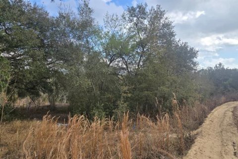 Land in Umatilla, Florida № 2161294