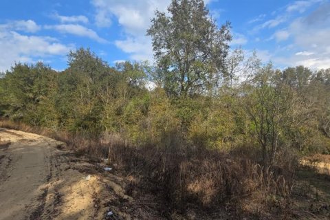 Land in Umatilla, Florida № 2161294 - photo 2