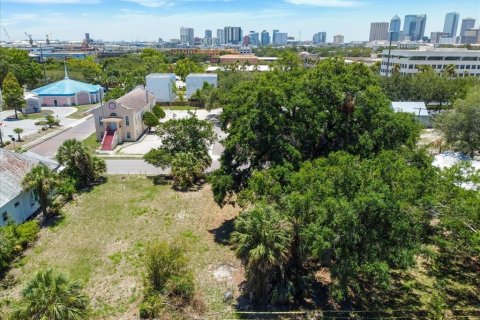 Land in Tampa, Florida № 630148 - photo 4