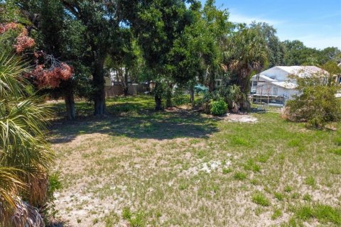 Land in Tampa, Florida № 630148 - photo 19