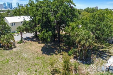 Land in Tampa, Florida № 630148 - photo 3