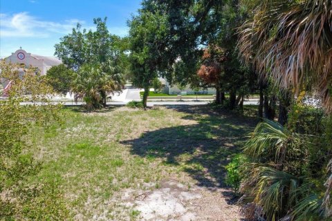 Land in Tampa, Florida № 630148 - photo 17