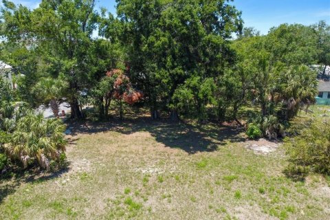 Land in Tampa, Florida № 630148 - photo 2
