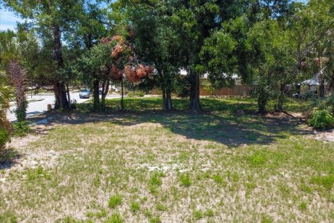 Land in Tampa, Florida № 630148 - photo 18
