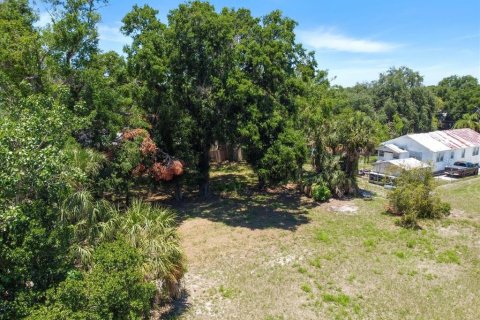 Land in Tampa, Florida № 630148 - photo 1
