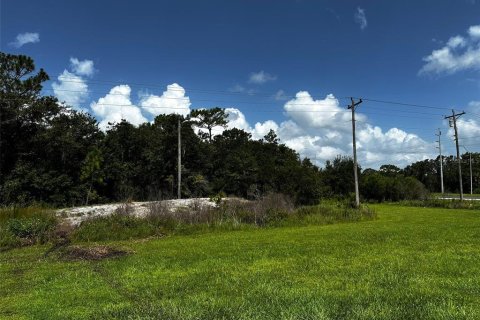Land in Lake Wales, Florida № 2103360 - photo 2