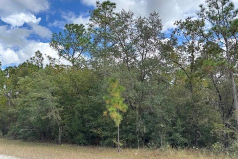 Land in Weeki Wachee, Florida № 2161593 - photo 2