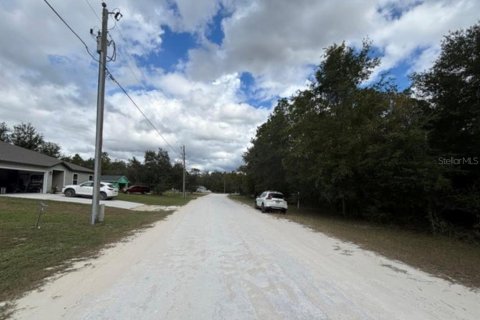 Land in Weeki Wachee, Florida № 2161593 - photo 6
