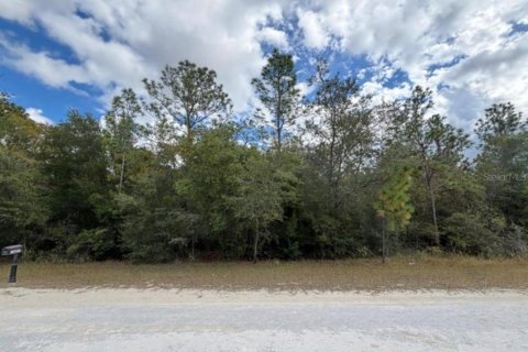 Land in Weeki Wachee, Florida № 2161593 - photo 3
