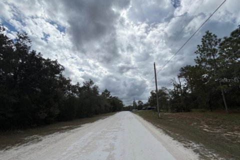 Land in Weeki Wachee, Florida № 2161593 - photo 5