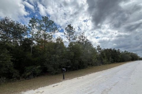 Land in Weeki Wachee, Florida № 2161593 - photo 4
