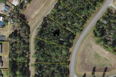 Land in Ocala, Florida № 2166498