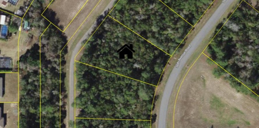 Land in Ocala, Florida № 2166498