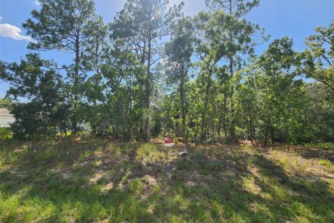 Land in Dunnellon, Florida № 2166849 - photo 2
