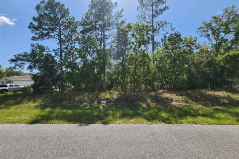 Land in Dunnellon, Florida № 2166849
