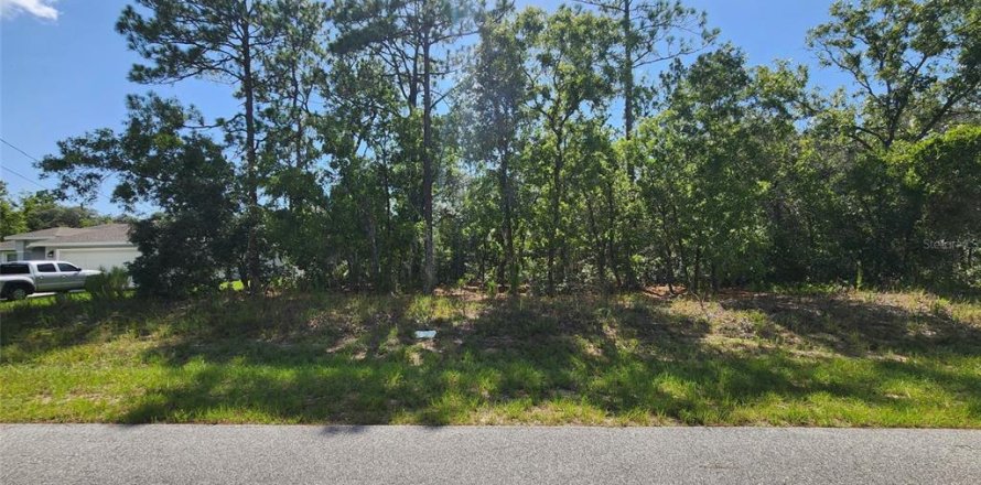 Land in Dunnellon, Florida № 2166849