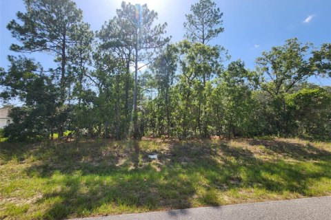Land in Dunnellon, Florida № 2166849 - photo 3