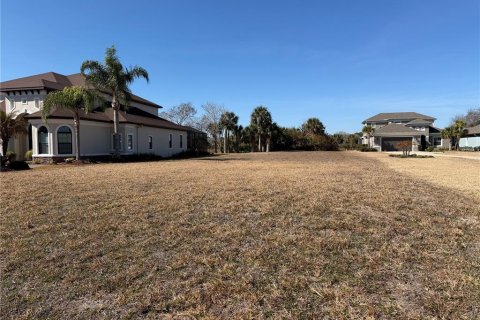 Land in Palm Coast, Florida № 2118426