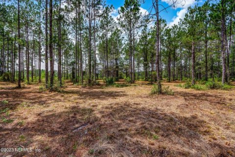 Terreno en venta en Hilliard, Florida № 824680 - foto 1
