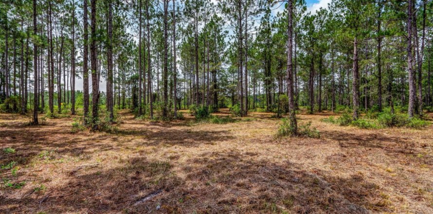 Terreno en Hilliard, Florida № 824680