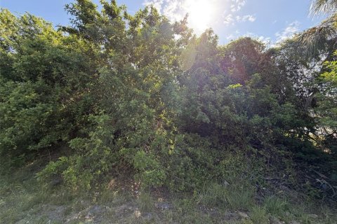 Land in Port Charlotte, Florida № 2159010 - photo 4