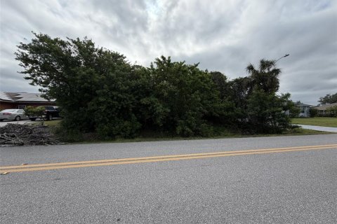 Land in Port Charlotte, Florida № 2159010