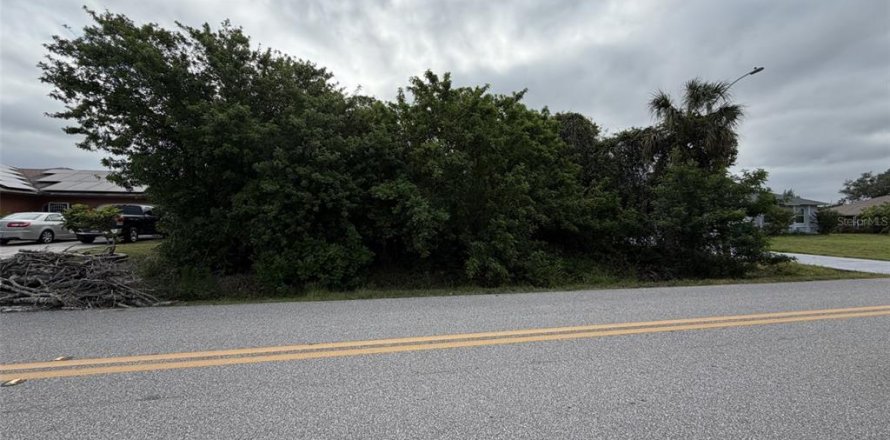 Land in Port Charlotte, Florida № 2159010