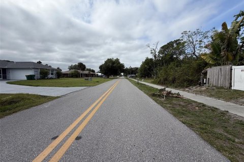Land in Port Charlotte, Florida № 2159010 - photo 5