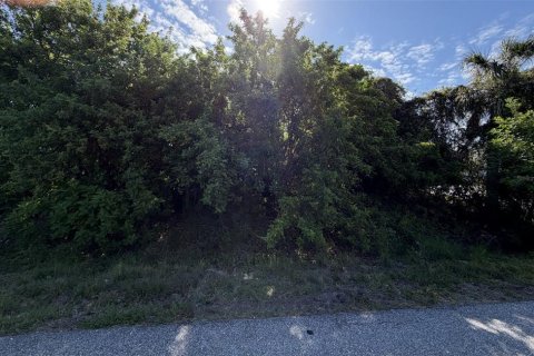 Land in Port Charlotte, Florida № 2159010 - photo 3
