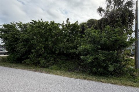 Land in Port Charlotte, Florida № 2159010 - photo 2