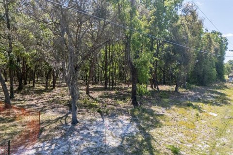 Купить земельный участок в Чиефленд, Флорида № 1917304 - фото 9