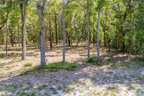 Купить земельный участок в Чиефленд, Флорида № 1917304 - фото 8