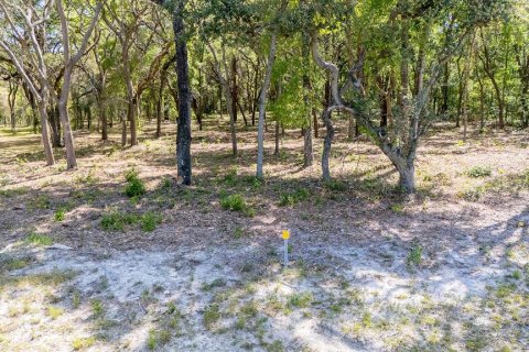 Купить земельный участок в Чиефленд, Флорида № 1917304 - фото 7