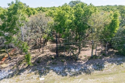 Купить земельный участок в Чиефленд, Флорида № 1917304 - фото 6