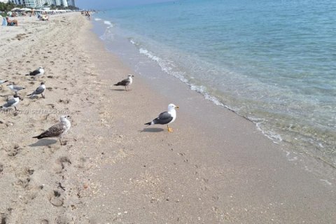 Condo in Hallandale Beach, Florida, 2 bedrooms № 2080618 - photo 18
