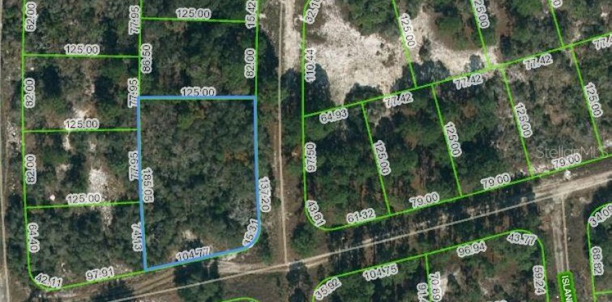 Land in Lake Placid, Florida № 2224270
