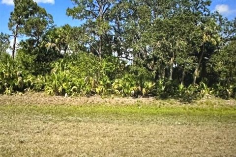 Land in LaBelle, Florida № 2165498