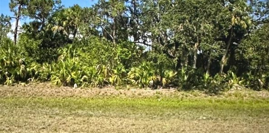 Land in LaBelle, Florida № 2165498
