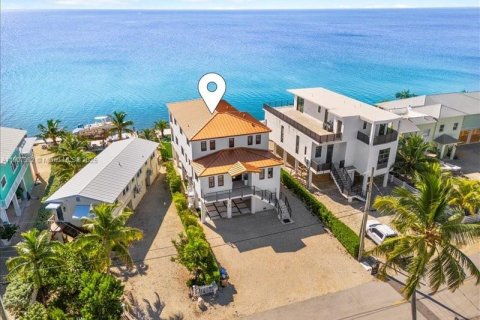 House in Tavernier, Florida 5 bedrooms, 281.12 sq.m. № 2012520