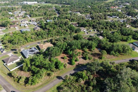 Land in North Port, Florida № 2196632 - photo 2