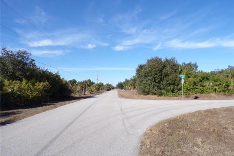 Land in Port Charlotte, Florida № 2163073 - photo 14