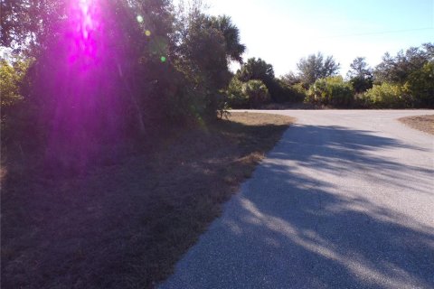 Land in Port Charlotte, Florida № 2163073 - photo 6